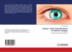 Artery / Vein Classification in Retinal Images