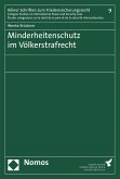 Minderheitenschutz im Völkerstrafrecht (eBook, PDF)