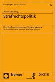 Strafrechtspolitik (eBook, PDF)
