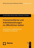 Finanzmarktkrise und Arbeitsbeziehungen im öffentlichen Sektor (eBook, PDF)
