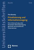 Privatisierung und Informationszugang (eBook, PDF)