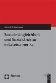 Soziale Ungleichheit und Sozialstruktur in Lateinamerika (eBook, PDF)
