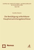 Die Bestätigung anfechtbarer Hauptversammlungsbeschlüsse (eBook, PDF)