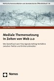 Mediale Themensetzung in Zeiten von Web 2.0 (eBook, PDF)