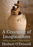 A Greening of Imaginations (eBook, ePUB)