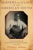 Slavery and Class in the American South (eBook, PDF)