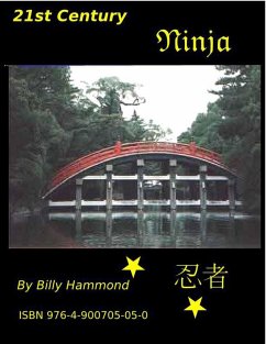 21st Century Ninja (eBook, ePUB) - Hammond, Billy