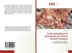 Etude géologique et gîtologique du secteur Tassetift-Ouaklim - Farni, Ismail