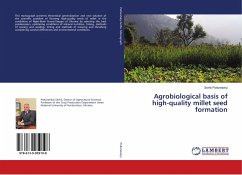 Agrobiological basis of high-quality millet seed formation