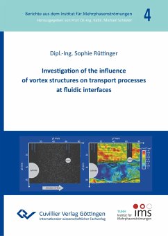 Investigation of the influence of vortex structures on transport processes at fluidic interfaces - Rüttinger, Sophie