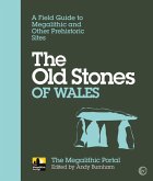 The Old Stones of Wales (eBook, ePUB)