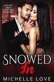 Snowed In: A Secret Baby Christmas Romance (Secret Babies, #6) (eBook, ePUB)