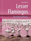 Lesser Flamingos (eBook, PDF)