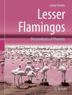 Lesser Flamingos (eBook, PDF) - Krienitz, Lothar