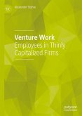 Venture Work (eBook, PDF)