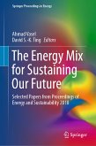 The Energy Mix for Sustaining Our Future (eBook, PDF)