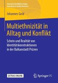 Multiethnizität in Alltag und Konflikt (eBook, PDF)