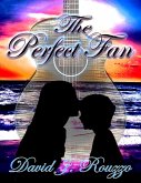 The Perfect Fan (eBook, ePUB)