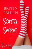 Santa Secret (Daly Way, #8) (eBook, ePUB)