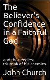 The Believer's Confidence in a Faithful God / and the needless triumph of his enemies (eBook, PDF)