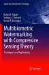 Multibiometric Watermarking with... - Bild 1