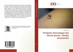 Protéines d'enveloppe des fièvres jaunes : études structurales - Eric, Crampon