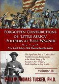 Forgotten Contributions of &quote;Little Africa&quote; Soldiers at Fort Wagner