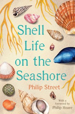 Shell Life on the Seashore - Street, Philip