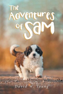 The Adventures of Sam - Young, David W.