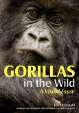 Gorillas in the Wild: A Visual Essay