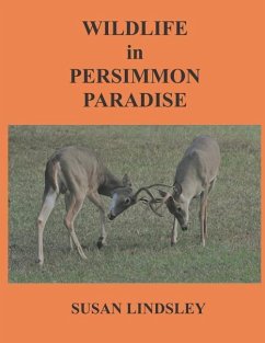 Wildlife in Persimmon Paradise - Lindsley, Susan