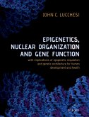 Epigenetics, Nuclear Organization & Gene Function (eBook, PDF)