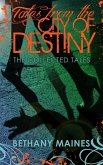 Tales from the City of Destiny (eBook, ePUB)