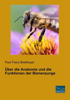 Über die Anatomie und die Funktionen der Bienenzunge - Breithaupt, Paul Franz