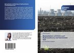 Remediation of Petroleum Hydrocarbons Contaminated Soil