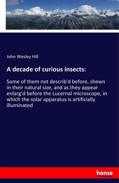 A decade of curious insects: