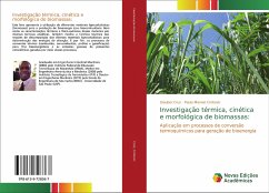 Investigação térmica, cinética e morfológica de biomassas: