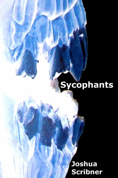 Sycophants (eBook, ePUB)