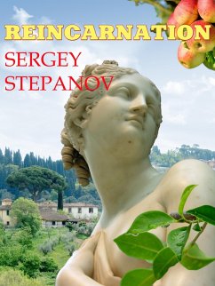 Reincarnation (eBook, ePUB) - Stepanov, Sergey