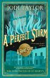 A Perfect Storm (eBook, ePUB) - Bild 1