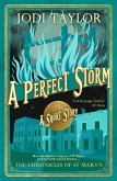 A Perfect Storm (eBook, ePUB)