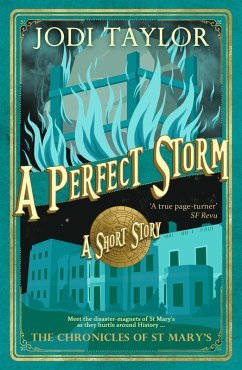 A Perfect Storm (eBook, ePUB) Cover A Perfect Storm (eBook, ePUB)