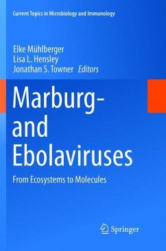 Marburg- and Ebolaviruses