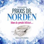 Praxis Dr. Norden 3 - Arztroman (MP3-Download)