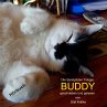 BUDDY (MP3-Download) - Bild 1