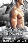 Dragon Bound (Quicksilver Dragons, #2) (eBook, ePUB)