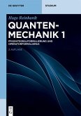 Pfadintegralformulierung und Operatorformalismus (eBook, PDF)