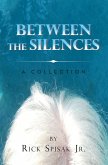 Between the Silences (eBook, ePUB)