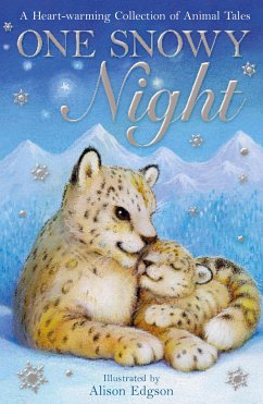 One Snowy Night (eBook, ePUB) - Chapman, Linda; Norton, Liss; Webb, Holly; Gourlay, Candy; Haddow, Swapna; Brahmachari, Sita; Broad, Michael; Cannon, Katy; Willis, Jeanne; Rasheed, Leila