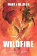 Wildfire (eBook, ePUB) - Bild 1